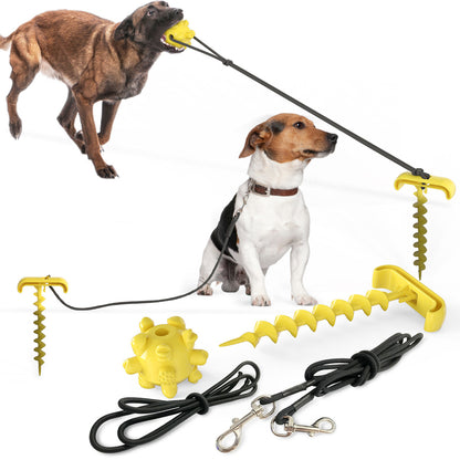 Joyful Leash Dog Toy - rivolx.com