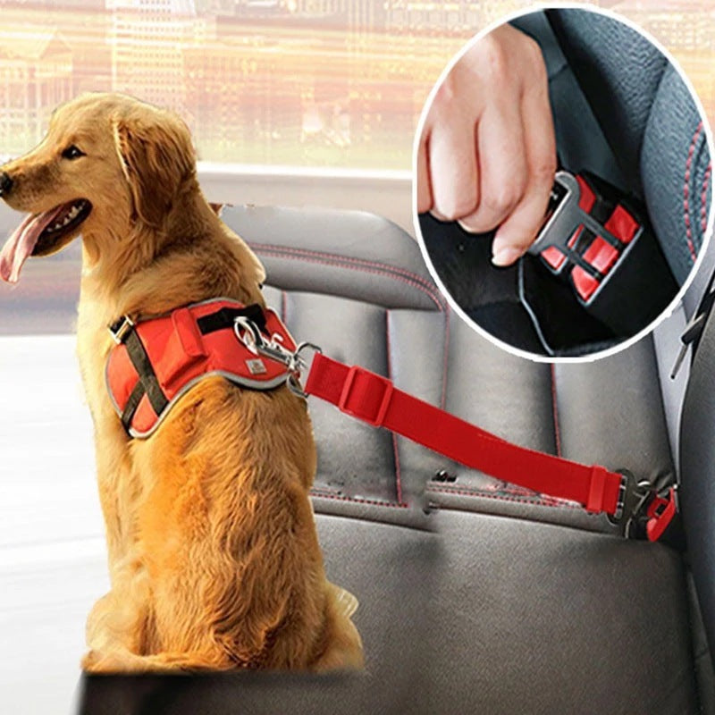 Adjustable Car Seat Belt for Pets - rivolx.com