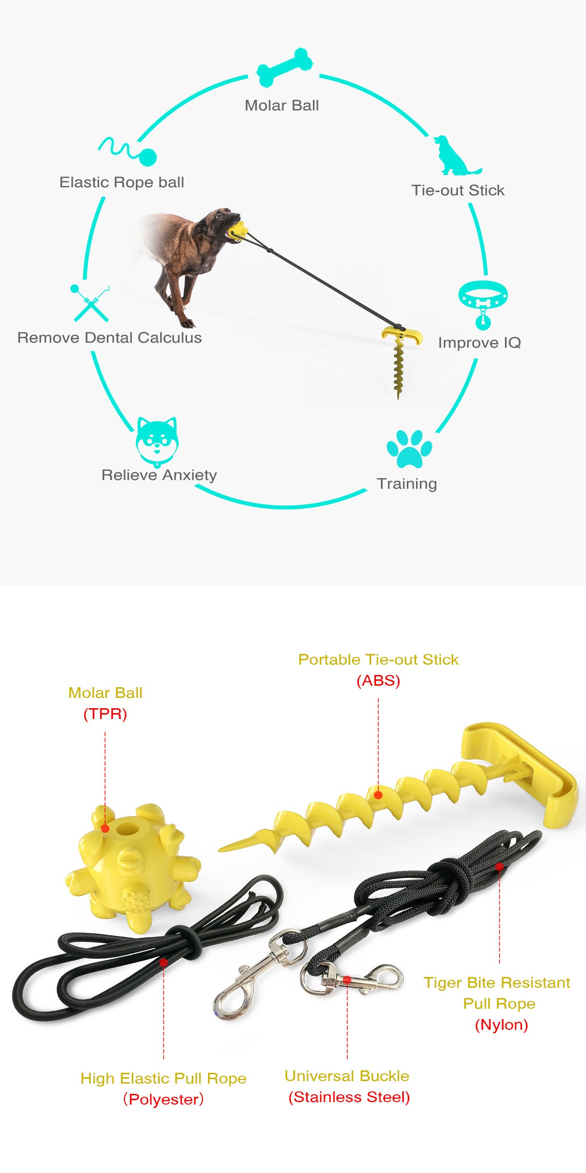 Joyful Leash Dog Toy - rivolx.com