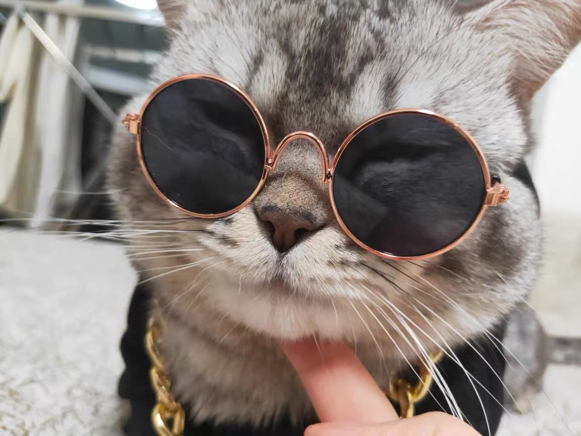 Funny Cat Small Dog Sunglasses Vintage Round Metal Reflection Sunglasses Pet Photos Cool Props Accessories Dog Sunglasses