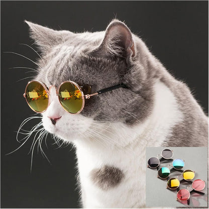 Pet Cat Glasses Dog Glasses Pet Products for Little Dog Cat Eye Wear Dog Sunglasses Photos (Color : Round Multicolor)