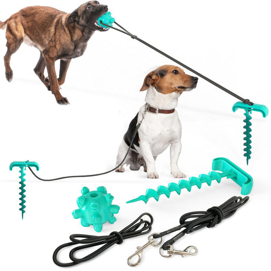 Joyful Leash Dog Toy - rivolx.com