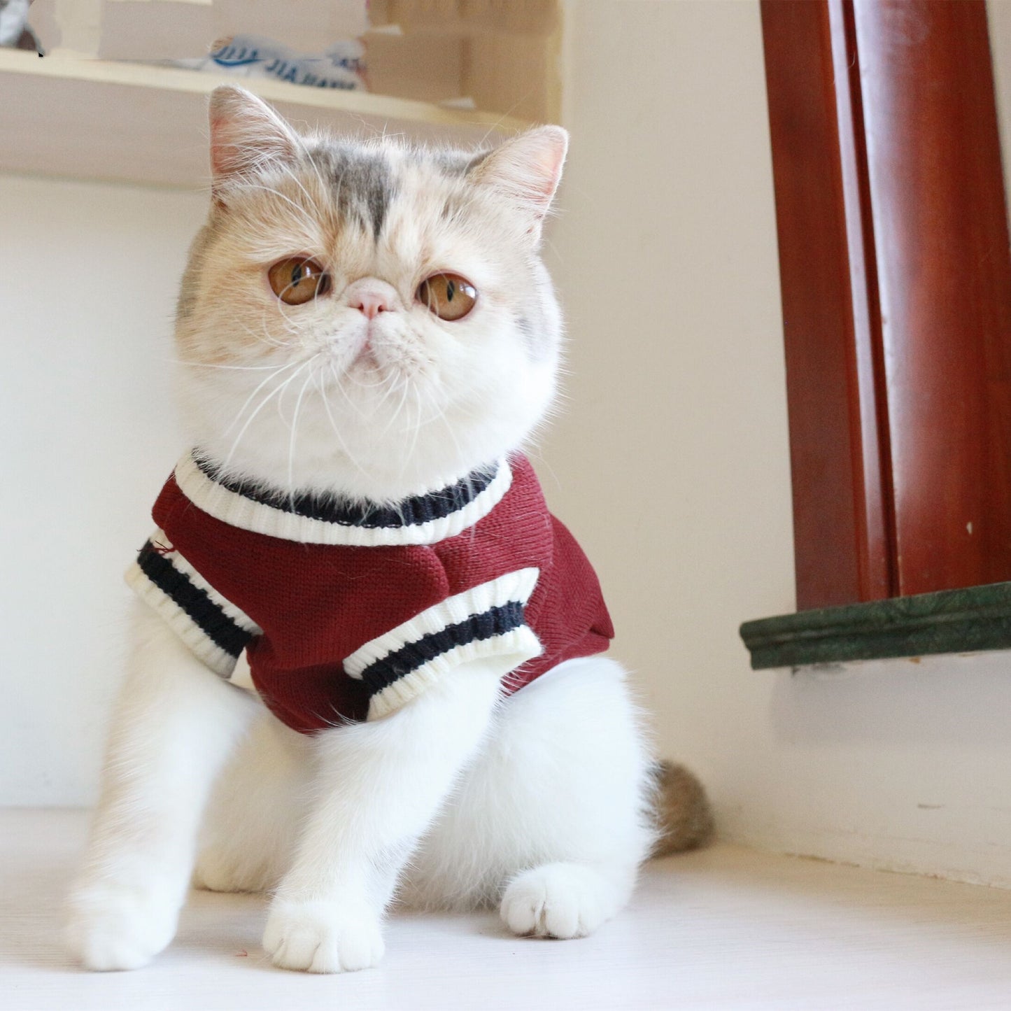 Dog Cat Sweater College Style V-neck knitted Vest Pet Puppy Winter Warm Clothes