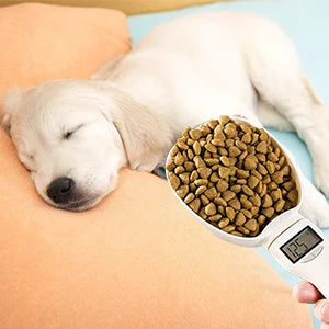 Pawsitive Measure Scale - rivolx.com