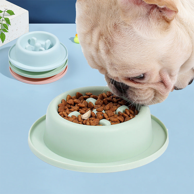 Slow Feeder Bowl, Fun Interactive Feeder Bloat Stop Dog Bowl Preventing Feeder Anti Gulping Drink Water Bowl Fan Shape Healthy Eating Diet for Pet Puppy